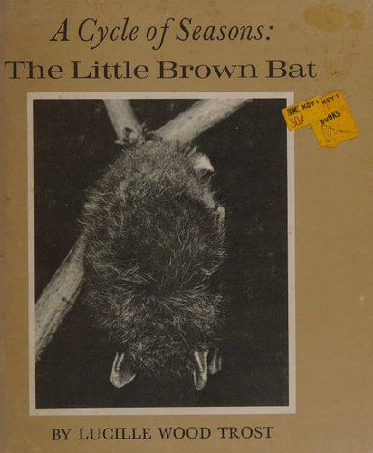 A Cycle of Seasons: The Little Brown Bat