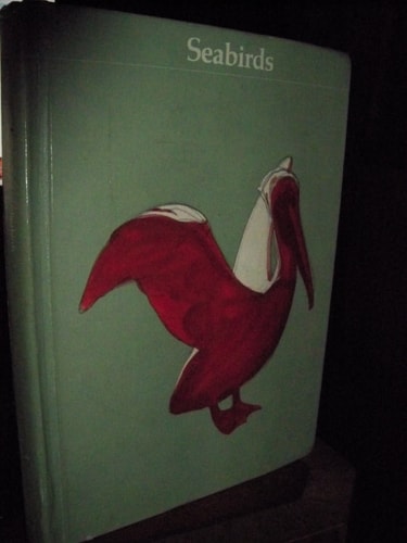 Seabirds