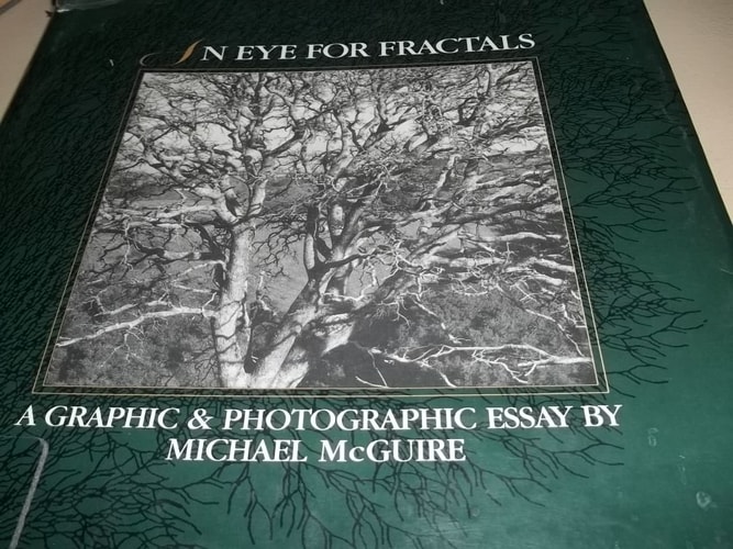 An Eye for Fractals: A Graphic and Photographic Essay