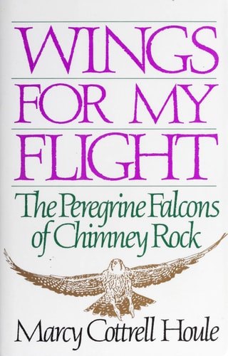Wings for My Flight: The Peregrine Falcons of Chimney Rock
