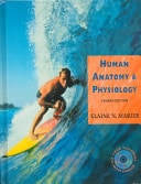 Human Anatomy and Physiology