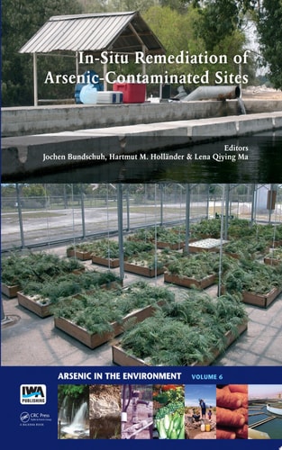 In-Situ Remediation of Arsenic-Contaminated Sites