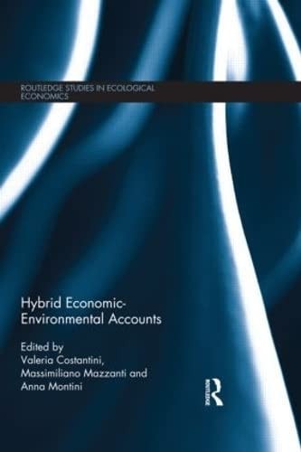 Hybrid Economic-Environmental Accounts