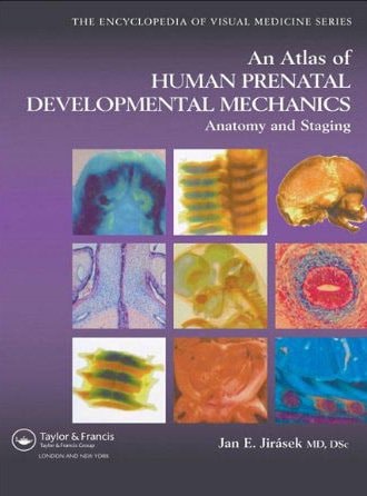 An Atlas of Human Prenatal Development Mechanics: Anatomy and Staging