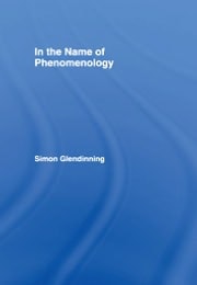 In The Name Of Phenomenology