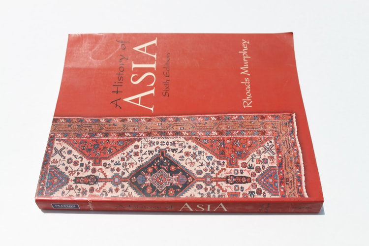 A History of Asia