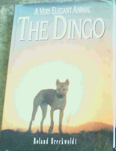 A Very Elegant Animal: The Dingo