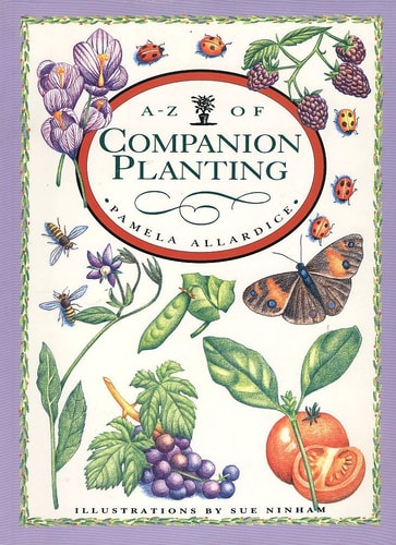A-Z of Companion Planting