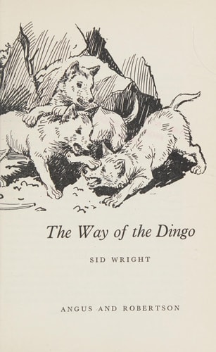 The Way of the Dingo