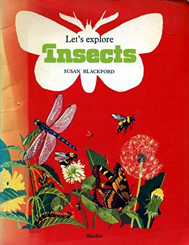 Let's Explore Insects