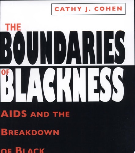 The Boundaries of Blackness AIDS and the Breakdown of Black Politics