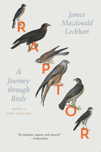 Raptor
