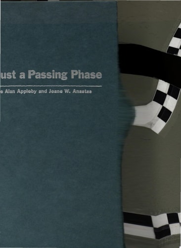 Not Just a Passing Phase Social Work with Gay, Lesbian, and Bisexual People