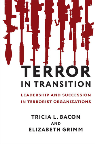 Terror in transition: leadership and succession in terrorist organizations