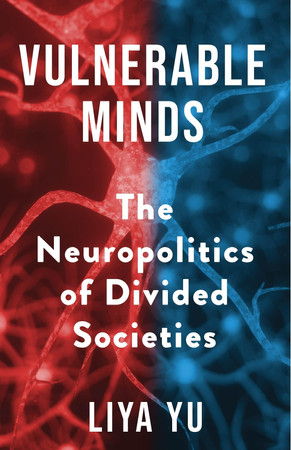 Vulnerable minds: the neuropolitics of divided societies