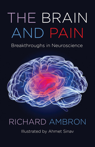 The brain and pain: breakthroughs in neuroscience