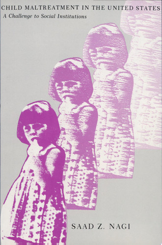 Child Maltreatment in the United States A Challenge to Social Institutions