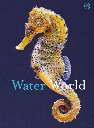 Water World A stunning deep dive into our great oceans and the wonders beneath the waves