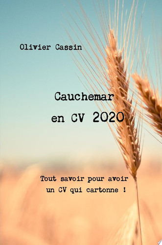 Cauchemar en CV 2020