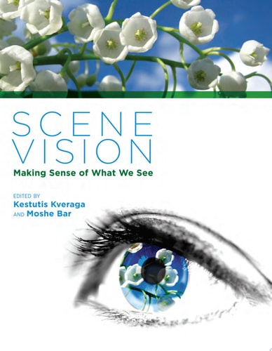 Scene Vision Making Sense of What We See