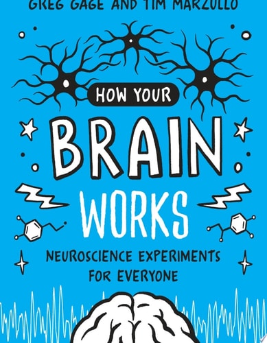 How Your Brain Works Neuroscience Experiments for Everyone