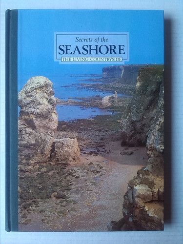 Secrets of the Seashore