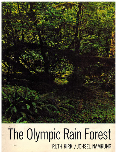 Olympic Rain Forest
