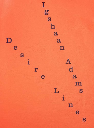 Igshaan Adams Desire Lines
