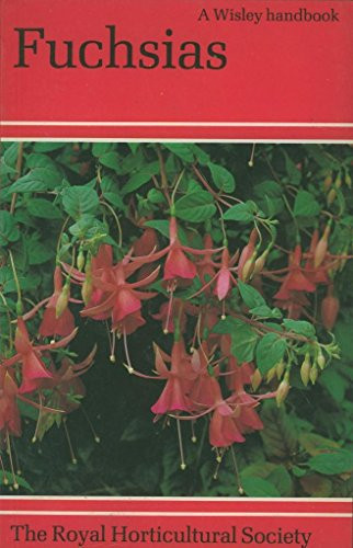 Fuchsias