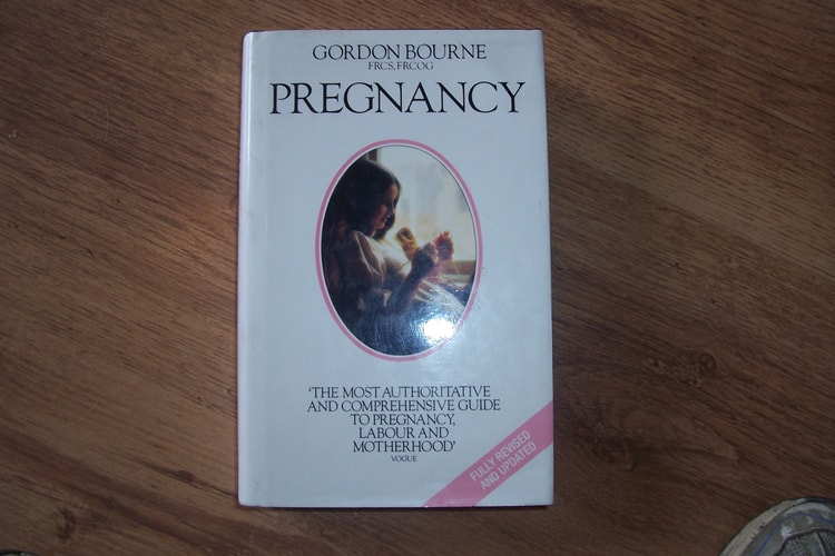 Pregnancy