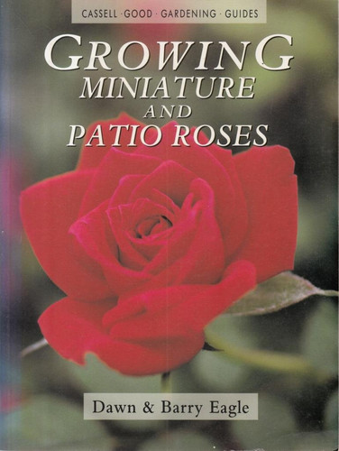 Growing Miniature and Patio Roses