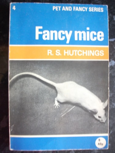 Fancy Mice