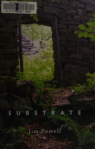 Substrate