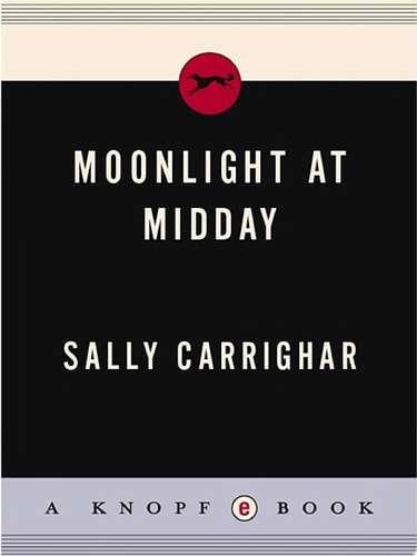 Moonlight At Midday