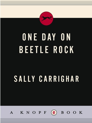 One Day On Beetle Rock