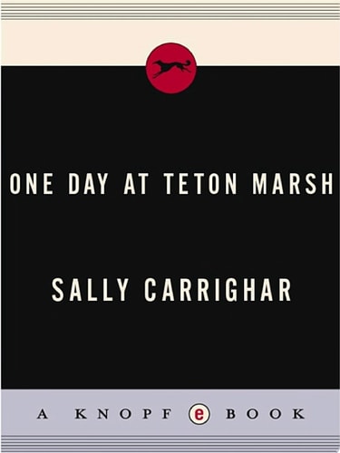One Day At Teton Marsh