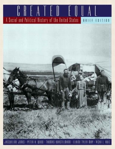 Created Equal A Social and Political History of the United States