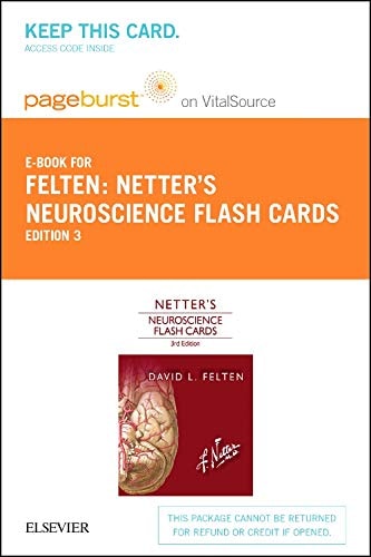 Netter's Neuroscience Flash Cards