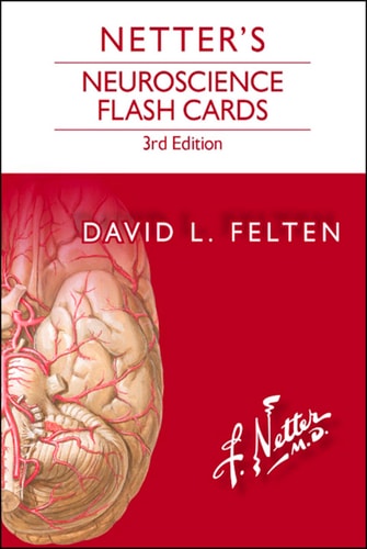 Netter's Neuroscience Flash Cards