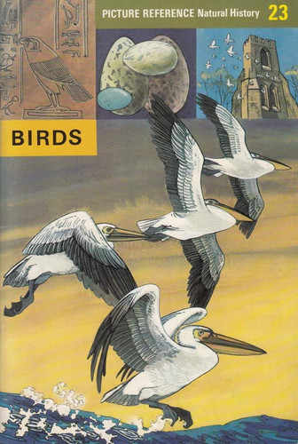 Picture Reference Book of Birds