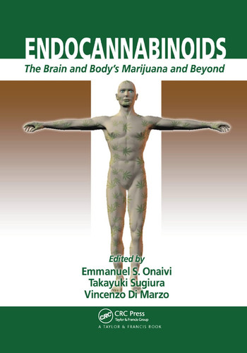 Endocannabinoids The Brain and Body's Marijuana and Beyond