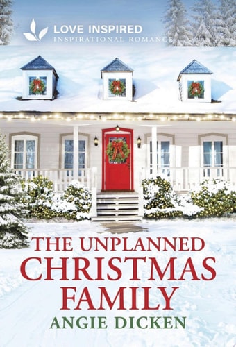 The Unplanned Christmas Family