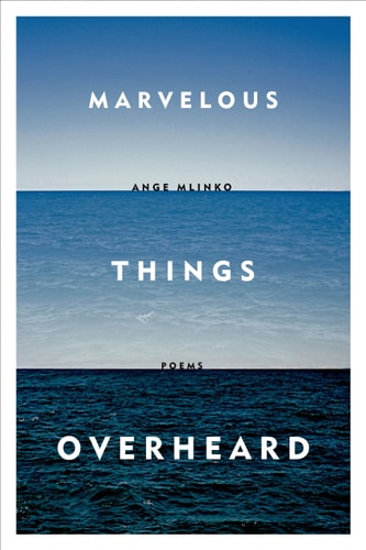 Marvelous Things Overheard Poems