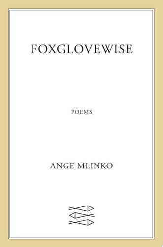 Foxglovewise