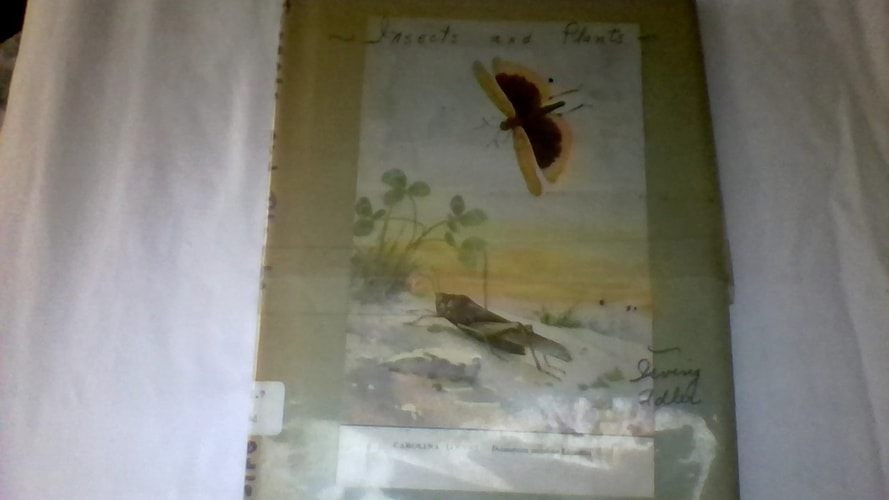Insects and Plants
