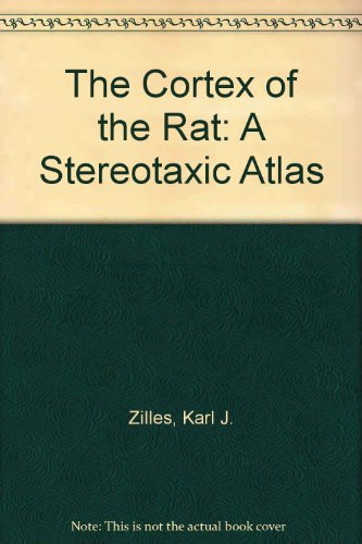 Cortex Of Rat