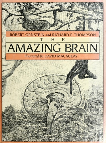 The Amazing Brain