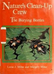 Nature's Clean-up Crew The Burying Beetles