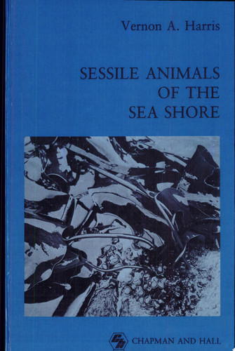 Sessile animals of the sea shore