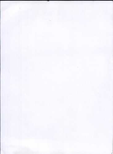 The Women's Suffrage Movement A Reference Guide, 1866-1928